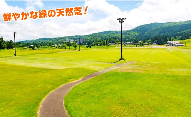 天然芝グラウンド